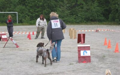 Brukshundgruppa starter opp med Rallylydighet