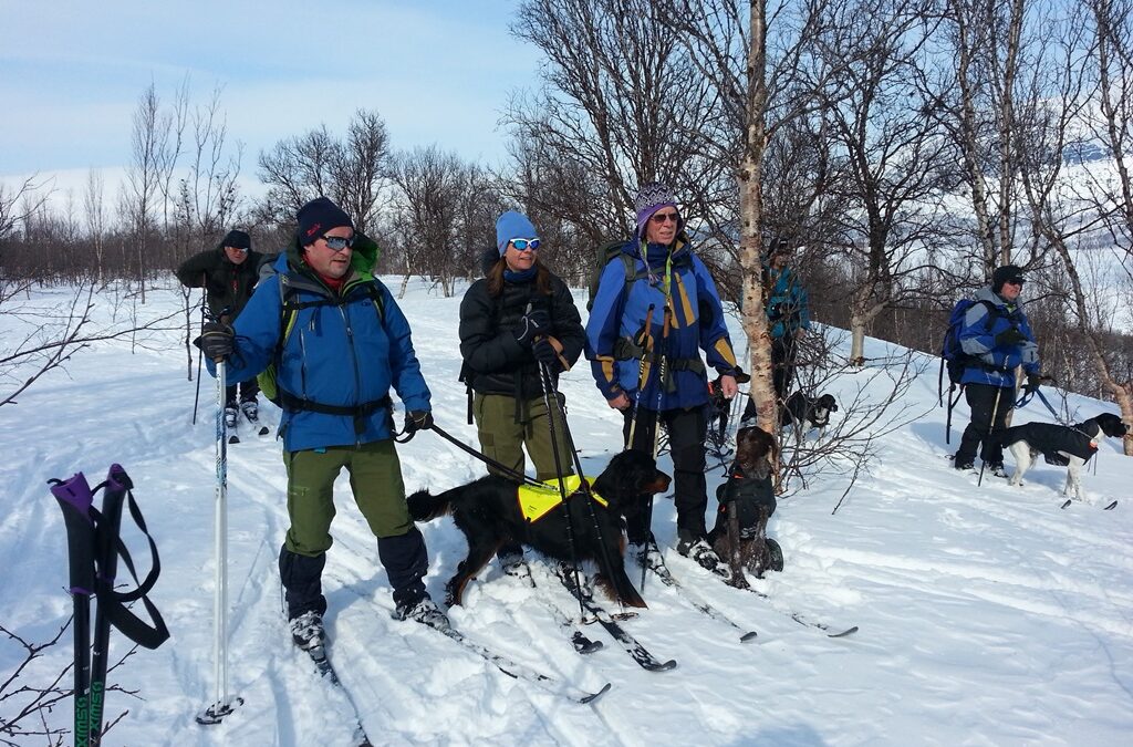 Aktivitetskalenderen er oppdatert og terminliste for vinterprøvene er lagt ut