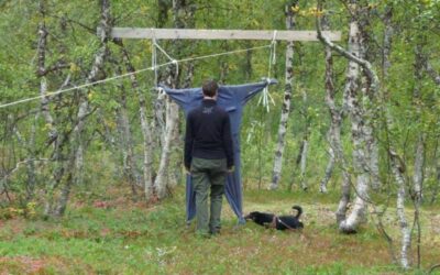 Mentaltest Hund