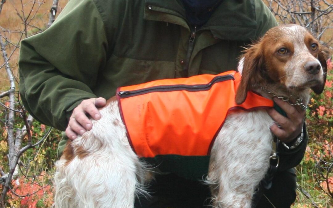 NM vinter på Andøya – dagens prestasjoner