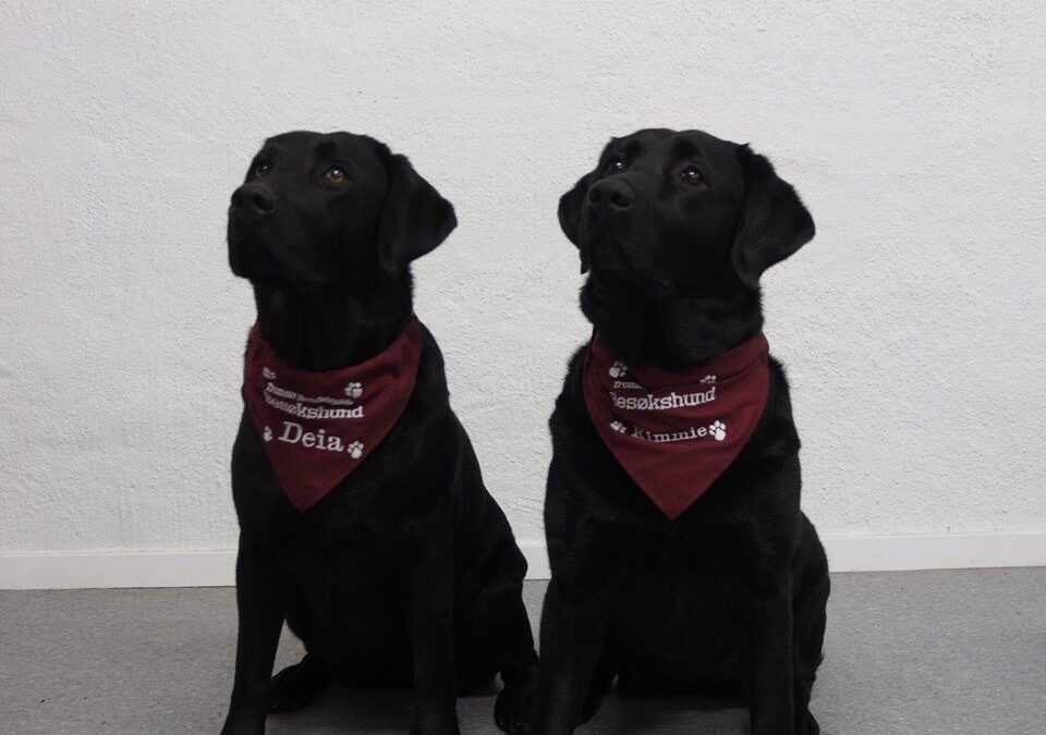 Besøkshund på programmet til Fylkesmannens store helsekonferanse.