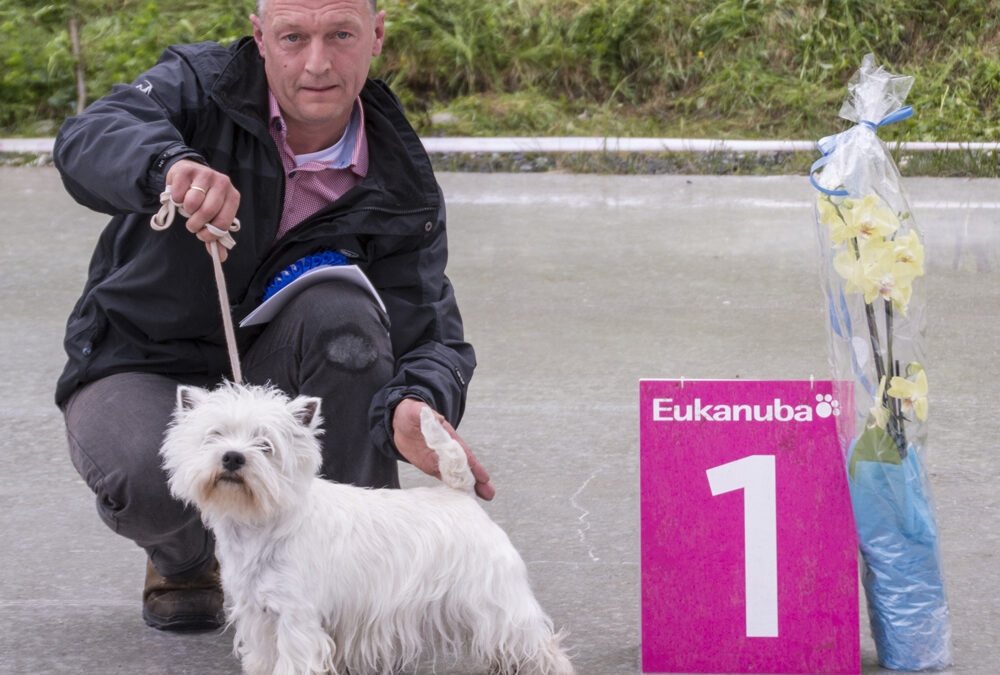 Vi minner om utstillingen 6. og 7. september 2014