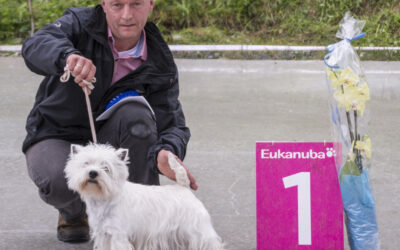Vi minner om utstillingen 6. og 7. september 2014