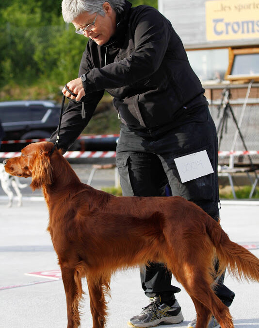 FUGLEHUNDGRUPPAS MANDAGSTRENINGER STARTER 18. AUGUST