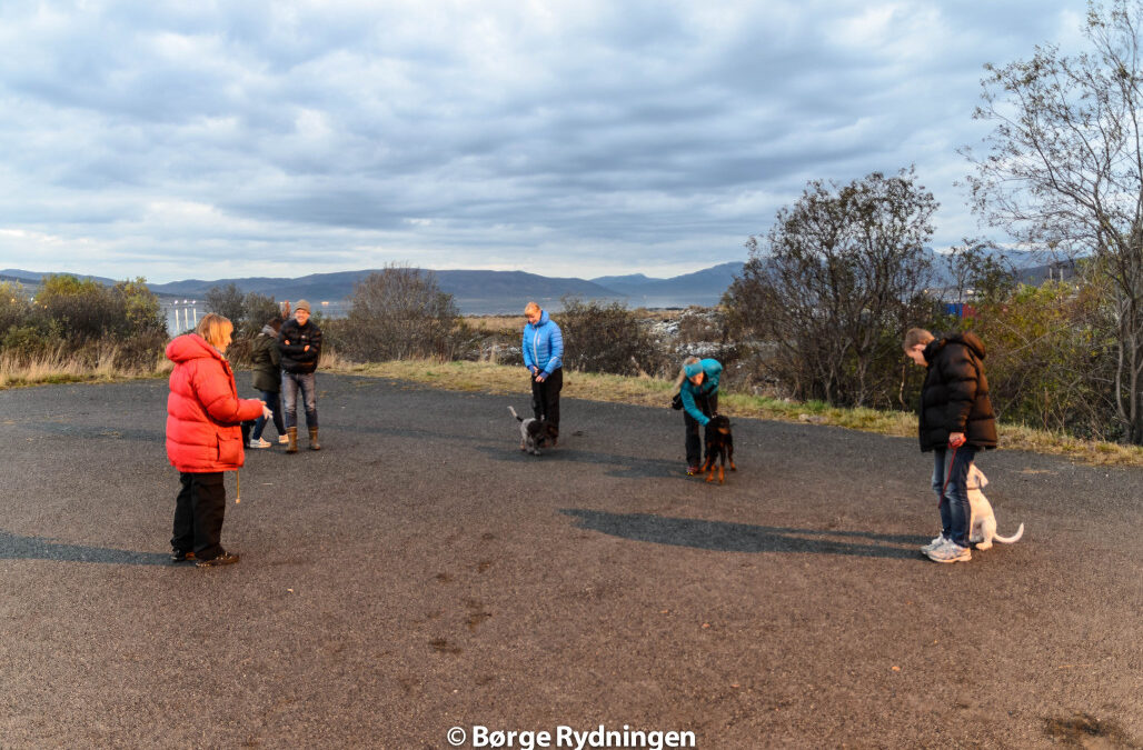 Valpekurset høsten 2014 er vel i havn!