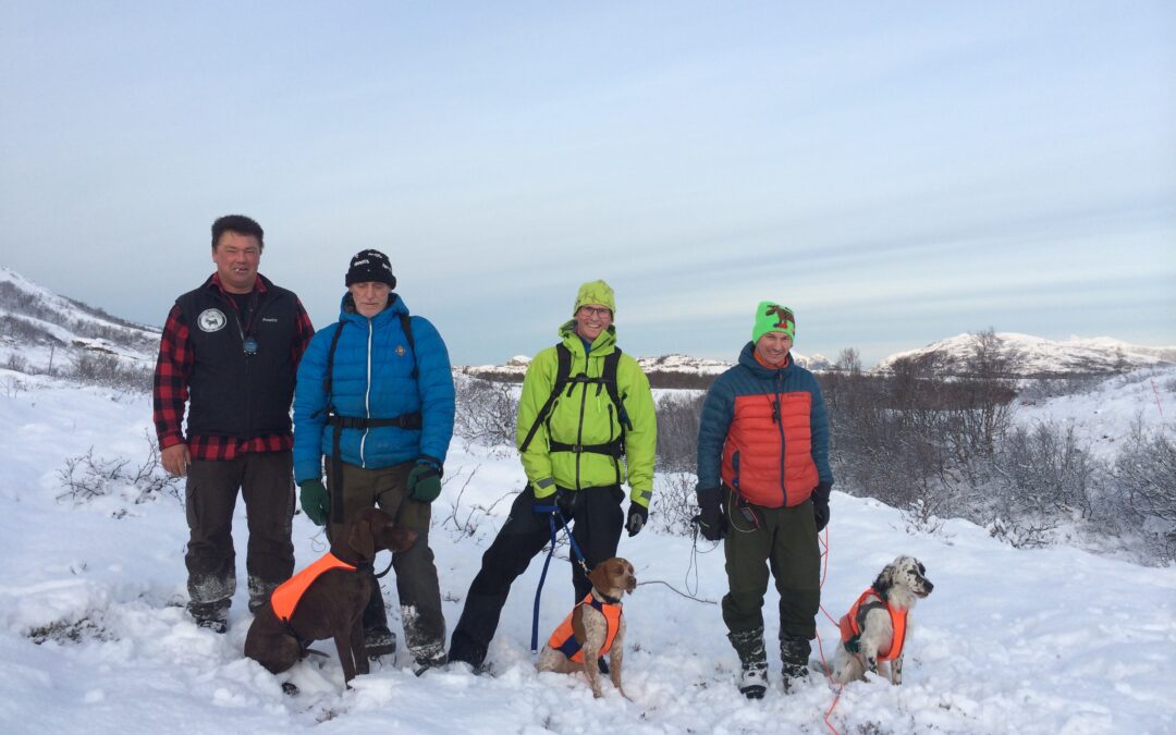 Fuglehundgruppa inviterer til fjellkurs