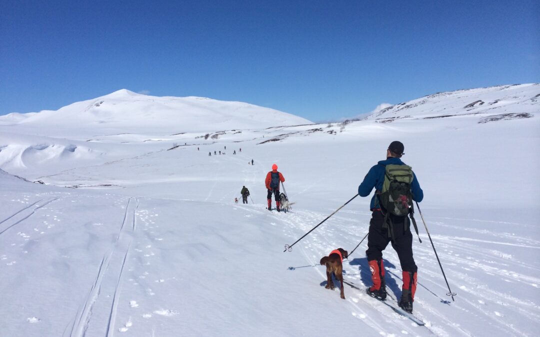 Noen bilder fra Saltfjellprøven 24.04.2015