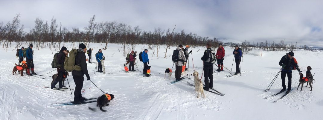 Treningsterreng og Lørdagstreninger!