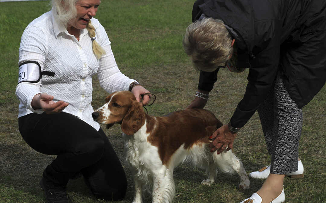 Program for THK og NKKs utstillinger 20. – 21.6.2015