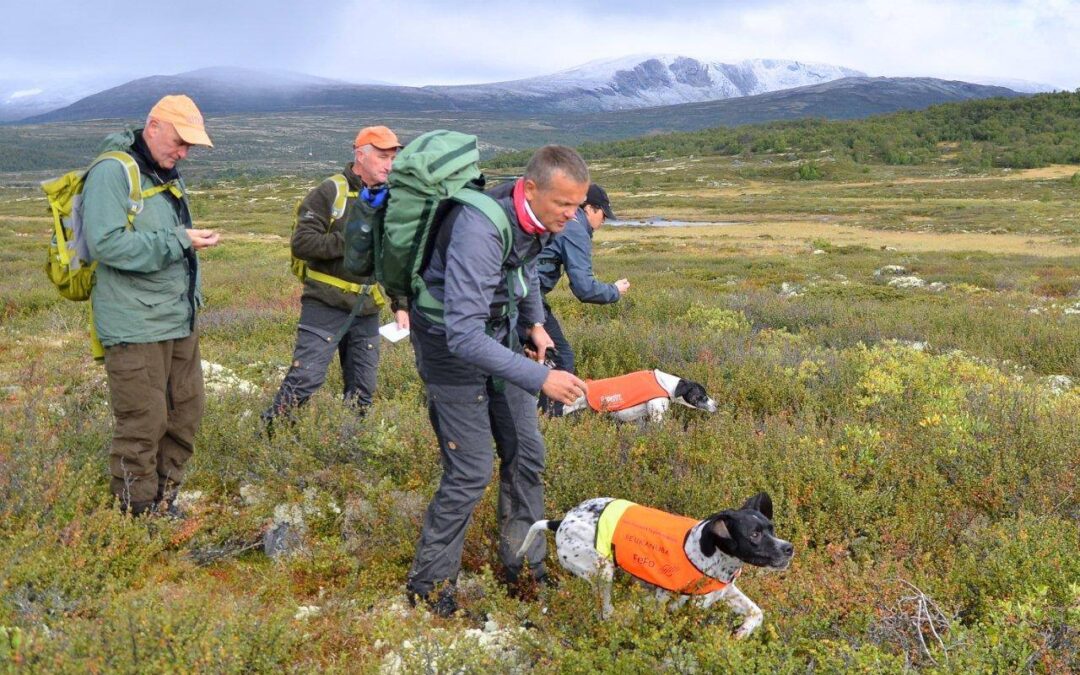 NM kvalifisering fredag