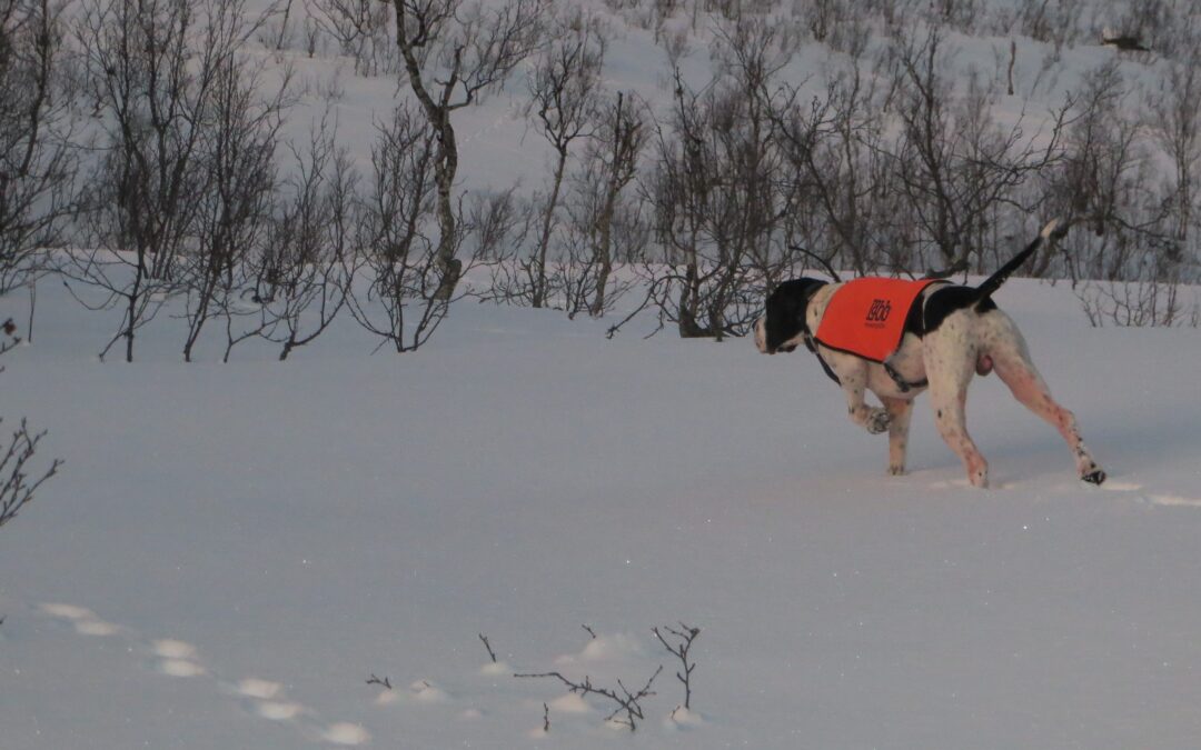 Resultatoppdateringer Tromsøprøven 12-13 mars 2016