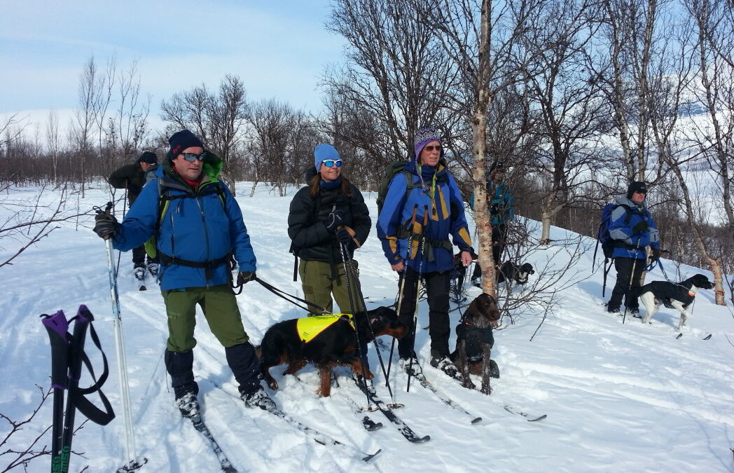 Senjaprøven – 2. VK til KV Langsundets Amerika
