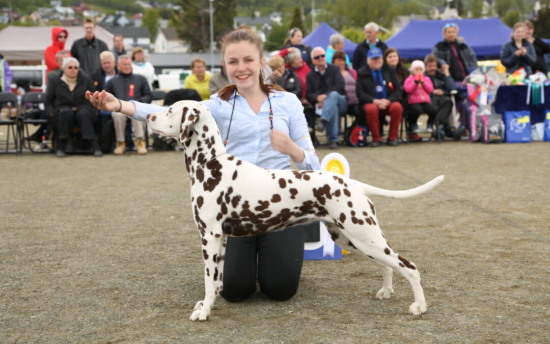 Barn og hund kurs