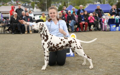 Barn og hund kurs