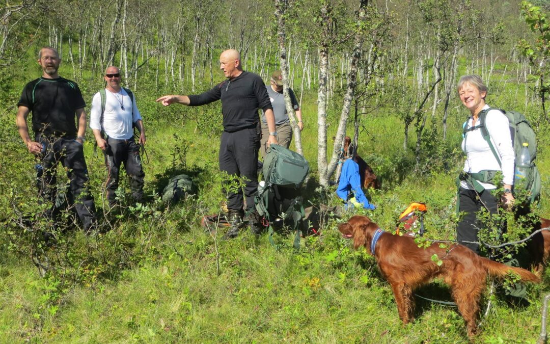 Fullkombinert og Skogsfuglprøve  21-22. August 2017