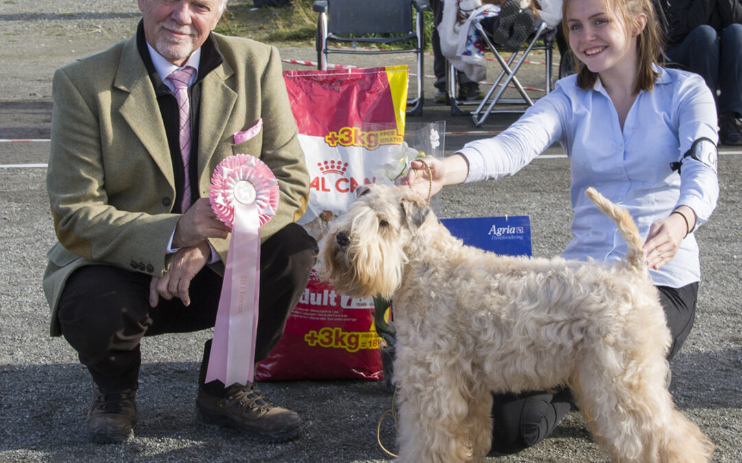 Vi krysser fingrene for at det blir utstilling i august…