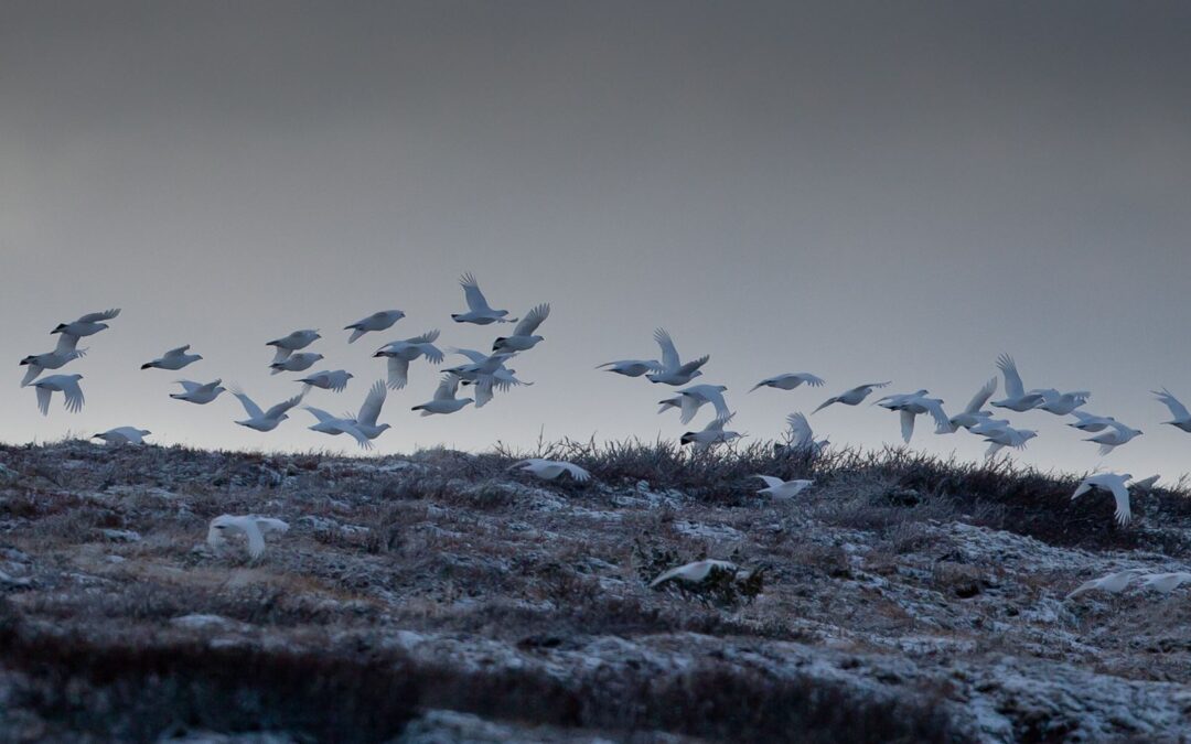 Resultater FHG-Cup 2016