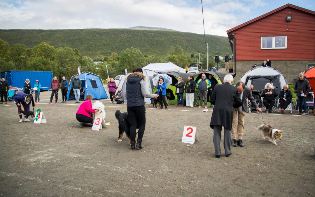ABSOLUTT SISTE: Dommerliste Tromsø Hundeklubb og NKK Tromsø 2018