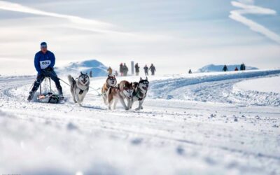 Årsmøte i Tromsø Hundeklubb