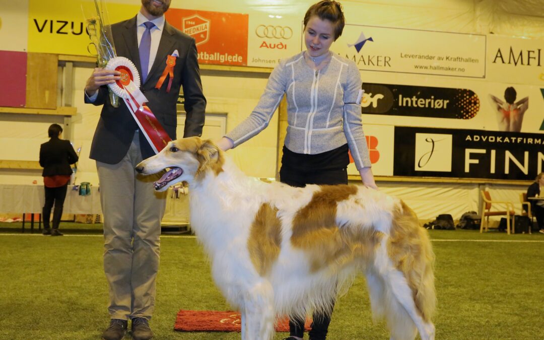 Handlerkurs 9. og 10. juni 2018