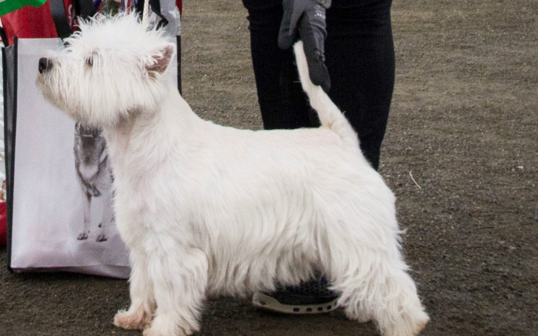 Velkommen til dobbelutstilling i Tromsø