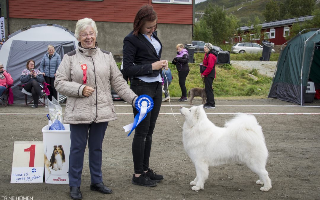 Dommerliste 13. og 14. juni Tromsø Hundeklubb og NKK Tromsø