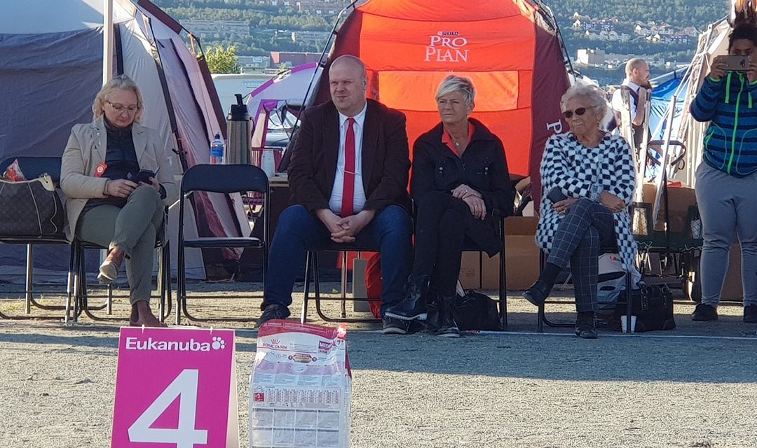 Finaleresultat fra Tromsø Hundeklubb og Norsk Dalmatiner klubbs utstillinger 1. – 2.9.2018