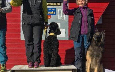 Resultat fra RL-stevne i Senja Hk