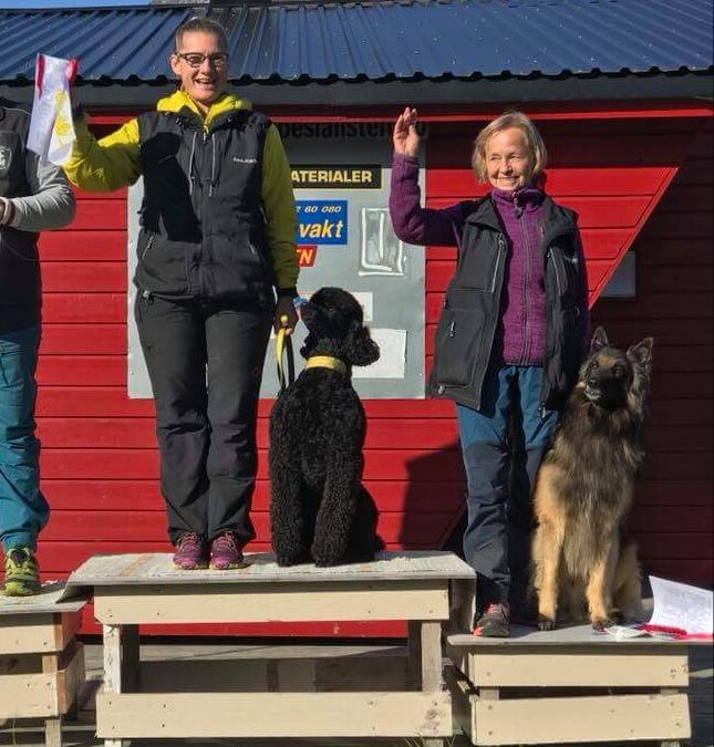 Resultat fra RL-stevne i Senja Hk