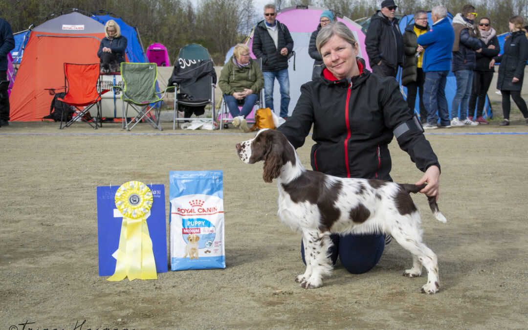 Velkommen til utstillingshelg 29. og 30.8.2020