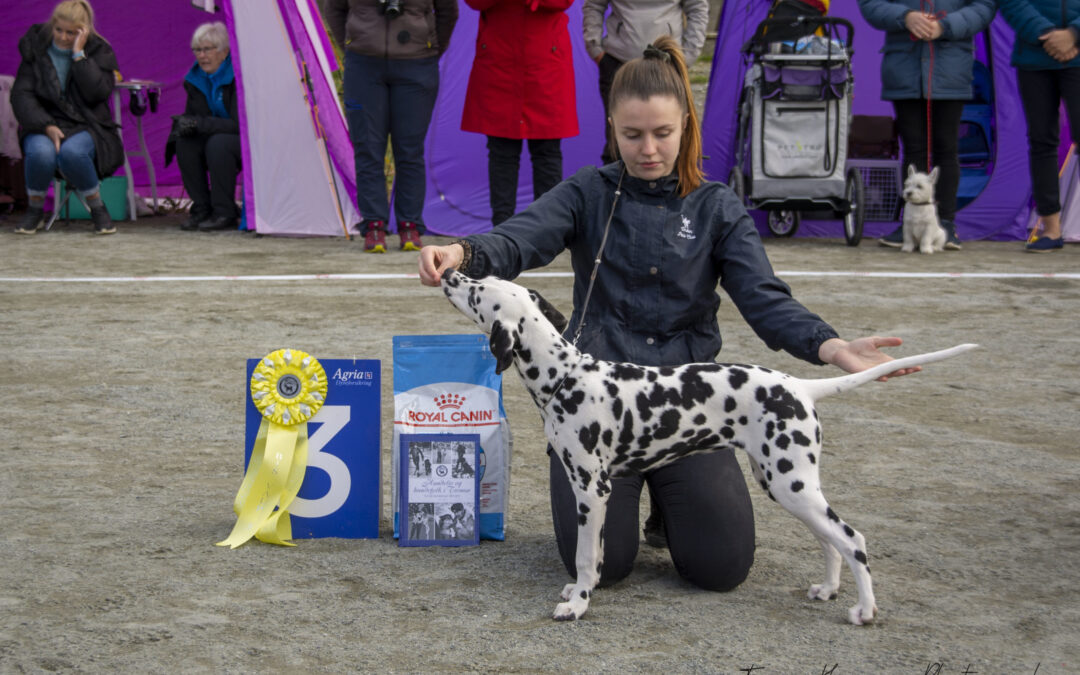 Nytt program for helgen 29. og 30.8.2020
