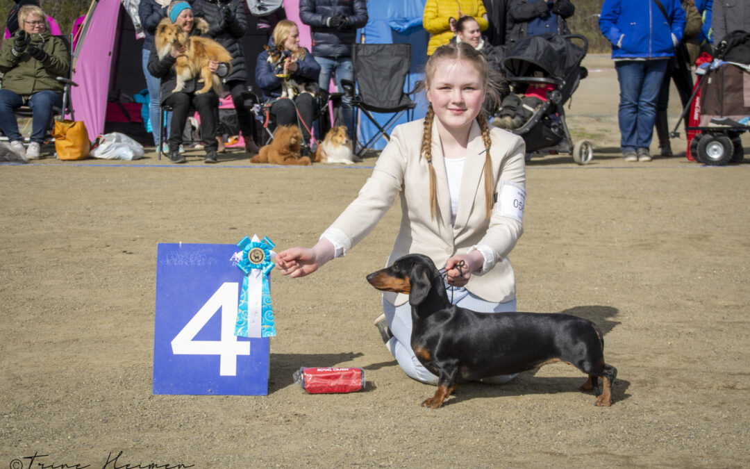 Info om utstillingene 29. og 30.8.2020