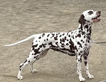 Edith NKK Tromsø fredag 16.08.24 2